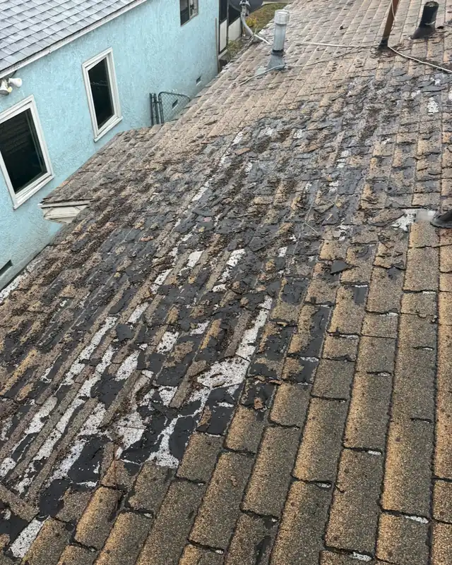 Worn, patchy shingle roof beside a blue stucco house
