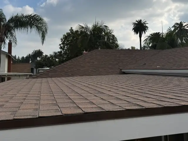 Shingle roof edge with palm trees behind
